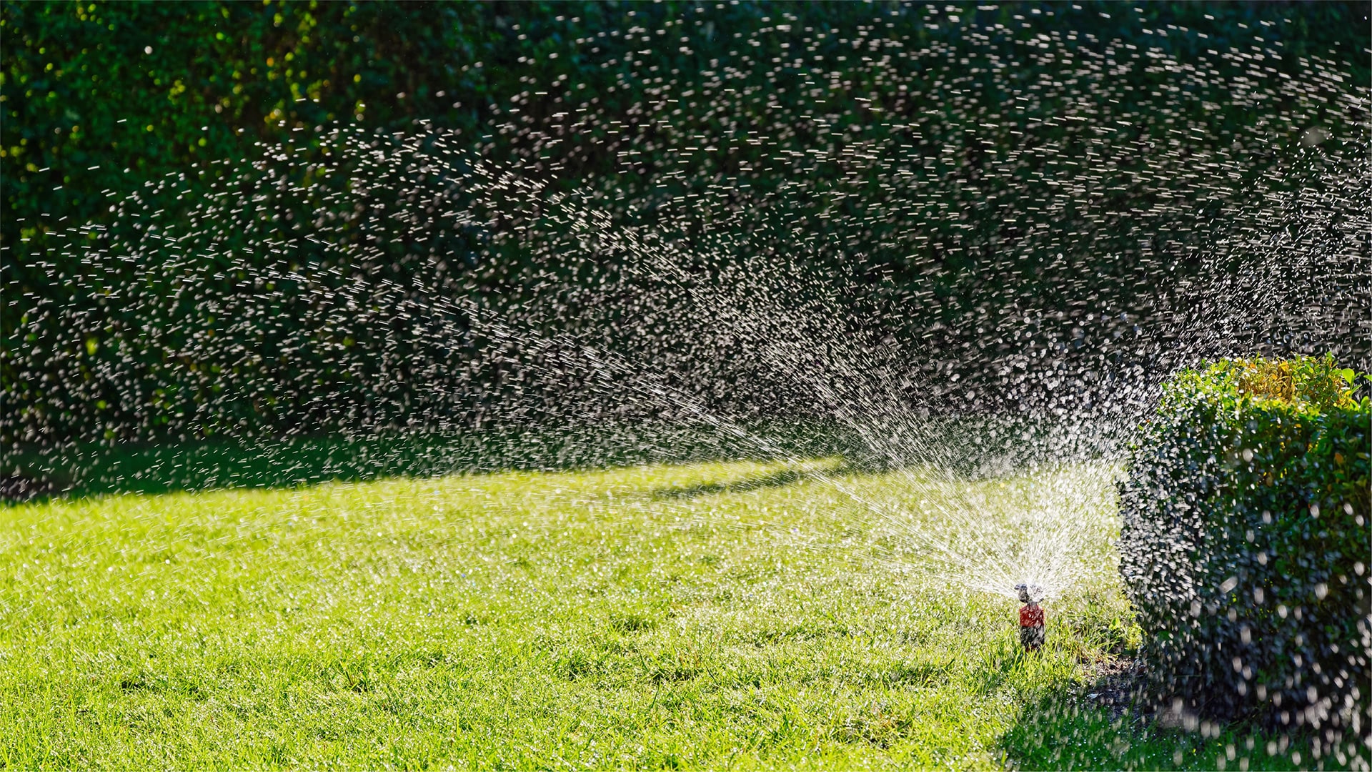 Ambiente https://www.waterblocksolutions.com/wp-content/uploads/2021/06/Immagine_aree_verdi.jpg